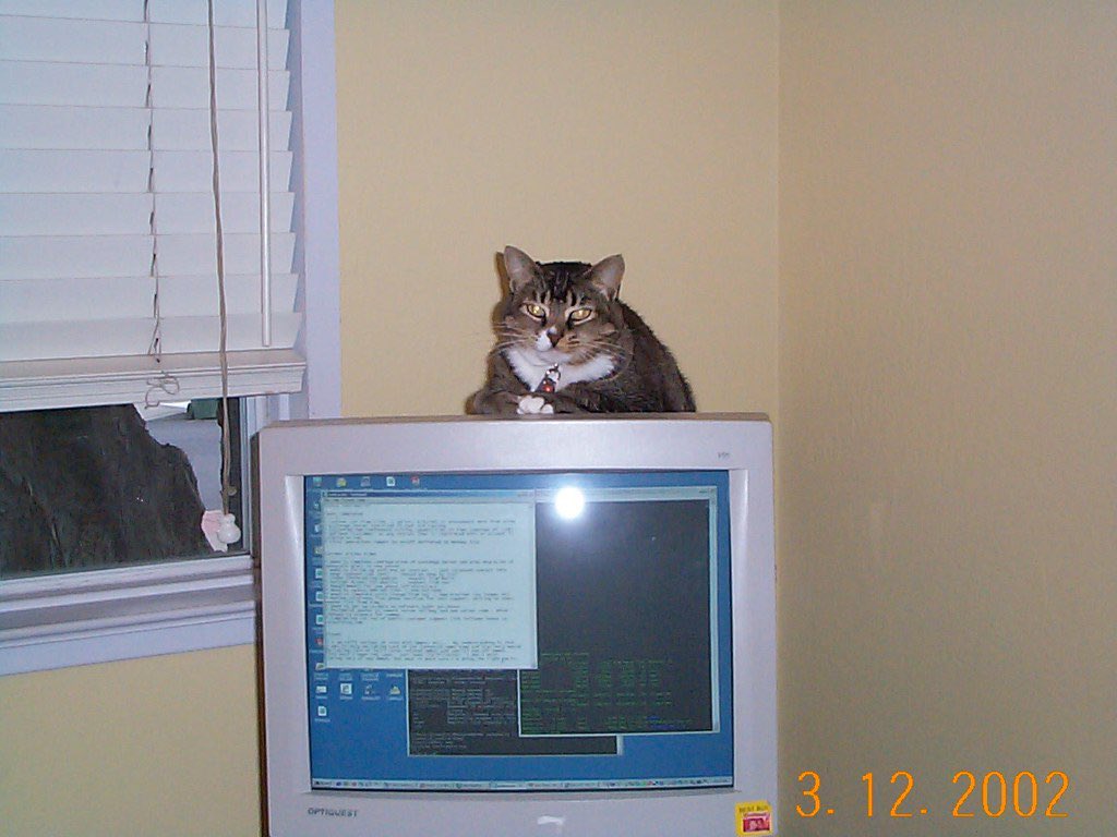 Old Internet tweet media