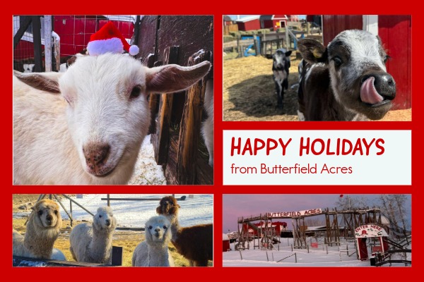 Butterfield Acres tweet media