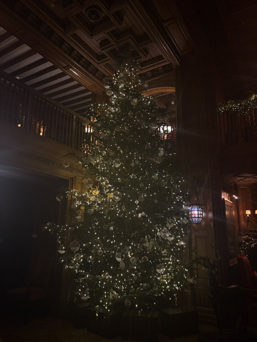 Cian D🌋 tweet media