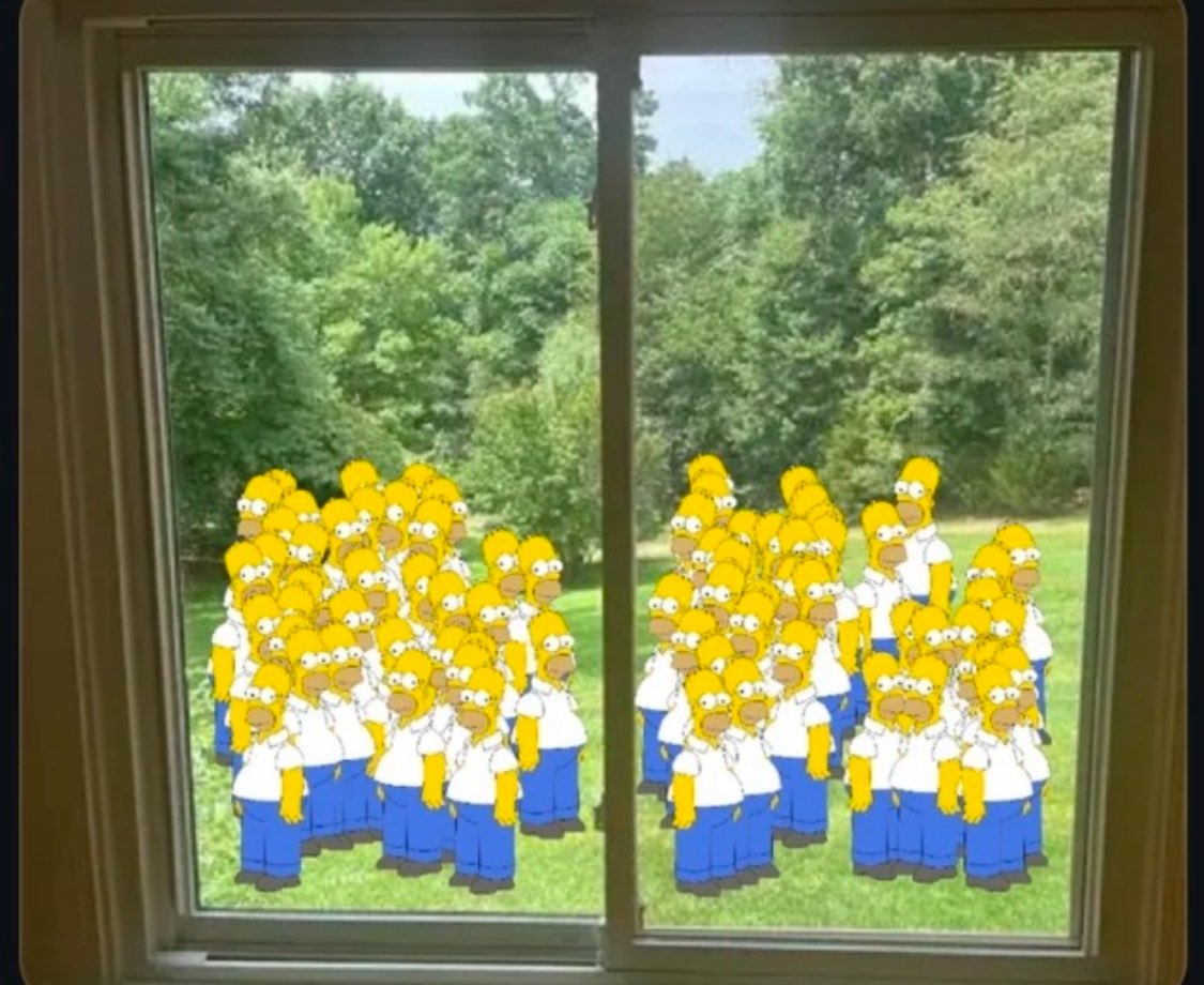 coolgirl0nline's tweet image. its Homer outside again