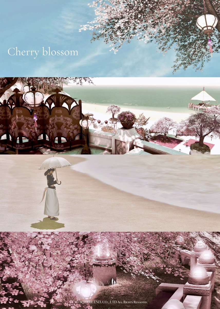 Have a nice weekend 🌿 🕊️ #このタグを見た人は黙って桜をはる 過去