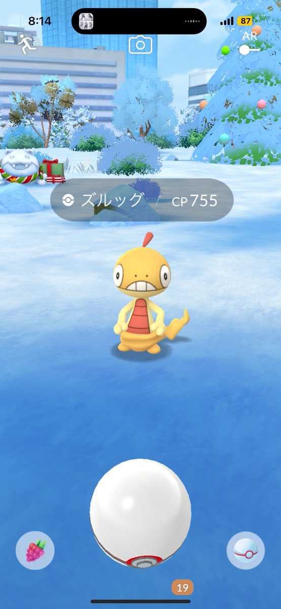 Birapiii's tweet photo. ズルッグちゃんに遭遇🤤かわいいがすぎる、、、クリスマス背景似合う、、、
#ポケモンGO https://t.co/76TeskA911