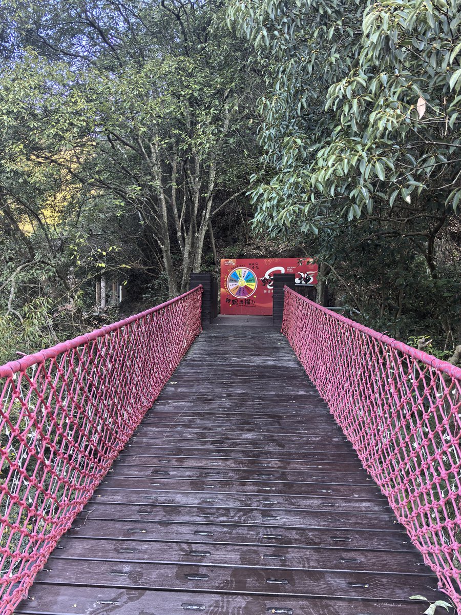 魔芋爽歪歪 tweet media