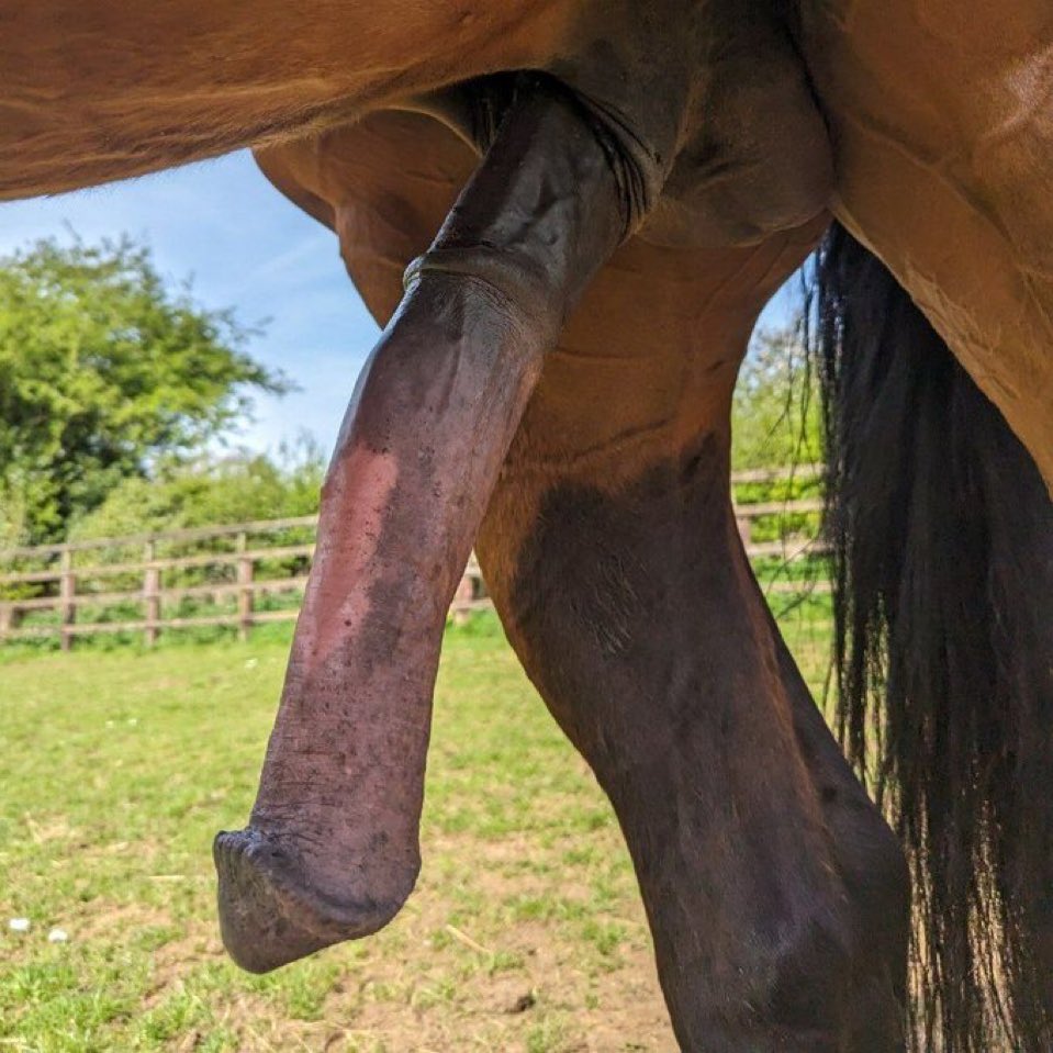 Hameeda Bano tweet media