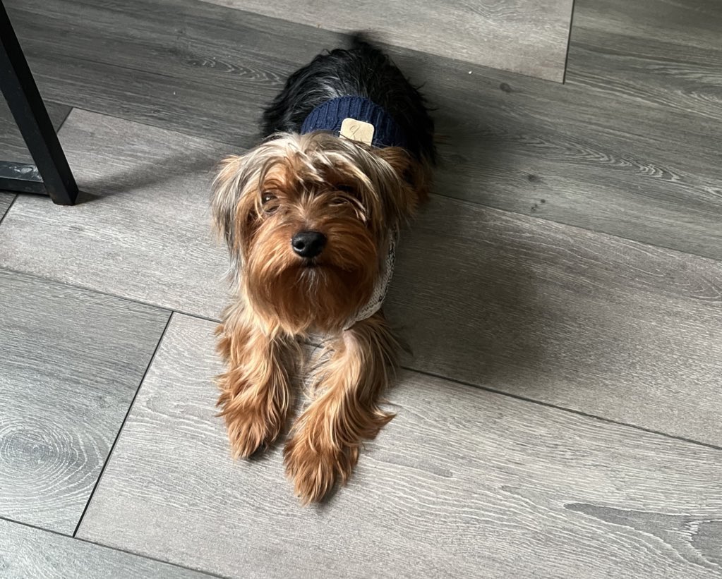 Jan …… present!!!