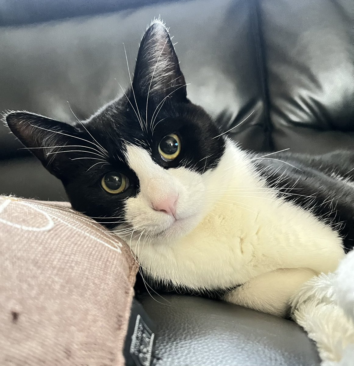 各局おはようございます。
生憎な土日ですがFBに過ごしていきまっしょい！😺