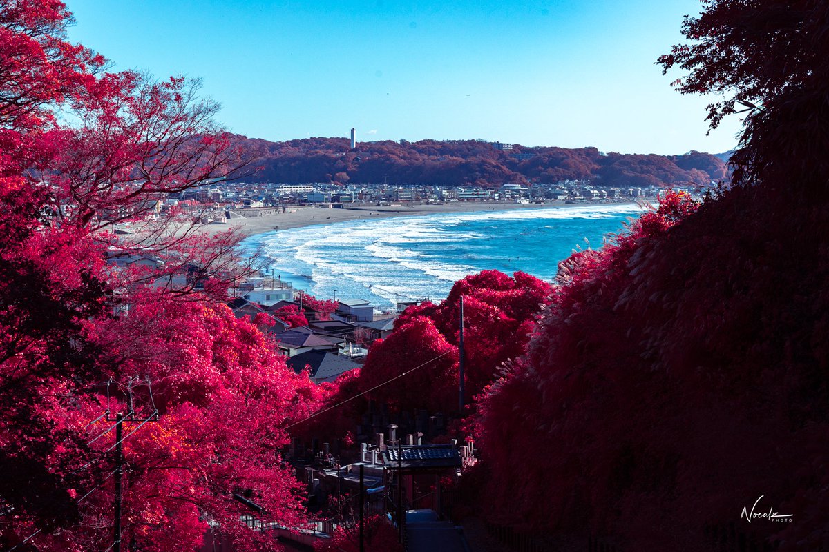 Kamakura, Japan in infrared looks like Ebisugaoka from Silent Hill f but without the fog
