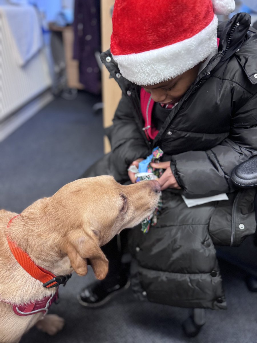 SparksTheDogMentorSPAG tweet media