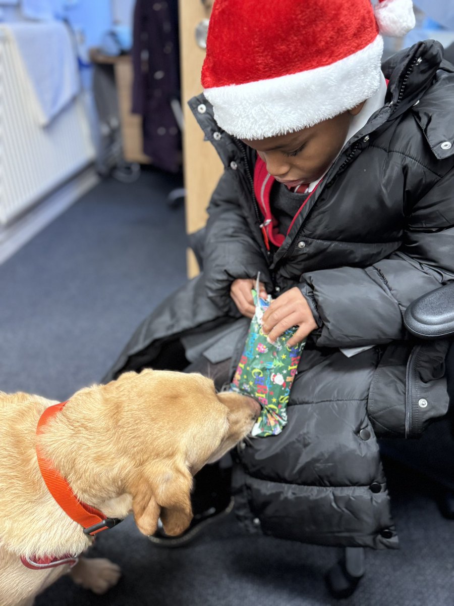 SparksTheDogMentorSPAG tweet media