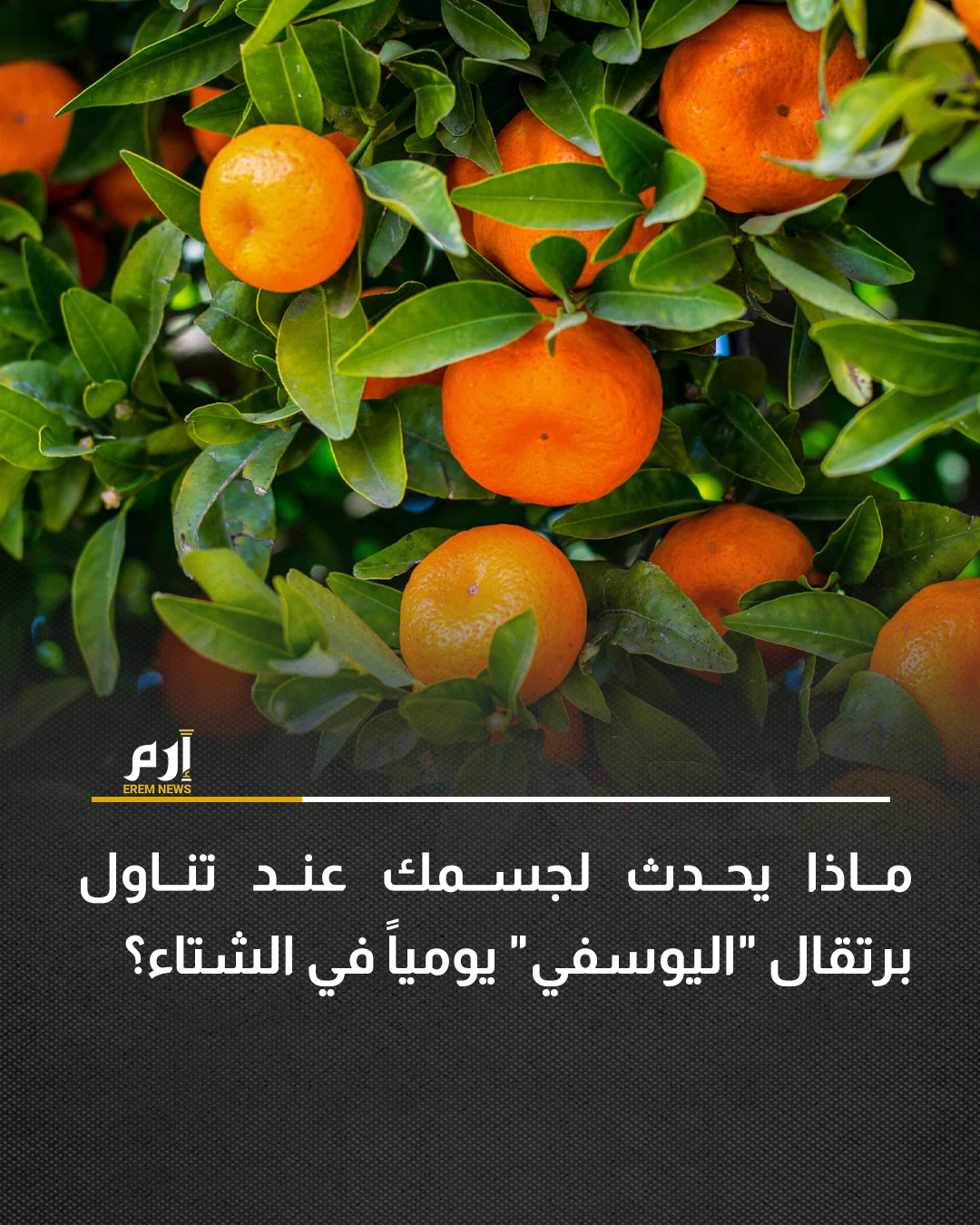 يُعد اليوسفي من أكثر الفواكه الشتوية انتشارًا، نظرًا لمذاقه المميز وسهولة تناوله، بالإضافة إلى فوائده الصحية العديدة.. ووفقًا لموقع "WebMD"، المختص في نشر المعلومات الصحية عبر الإنترنت، فإن تناول اليوسفي يوميًا خلال فصل الشتاء يمكن أن يُحدث تأثيرات إيجابية واضحة على صحة الجسم، خاصة مع انتشار نزلات البرد والإنفلونزا. 