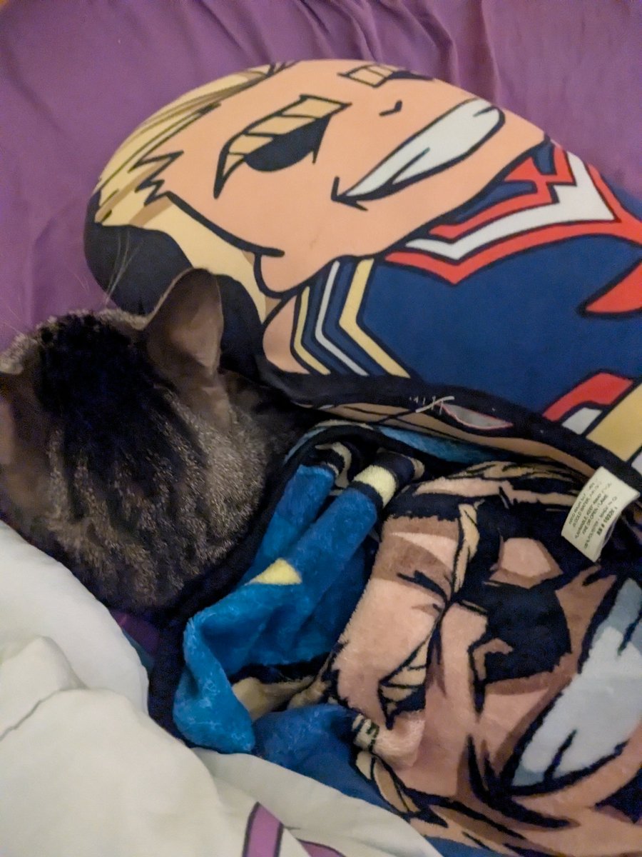 Midoriya Sensei ( ･ω･)ﾉ tweet media