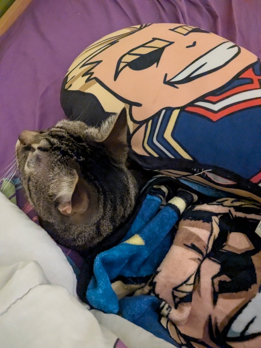 Midoriya Sensei ( ･ω･)ﾉ tweet media