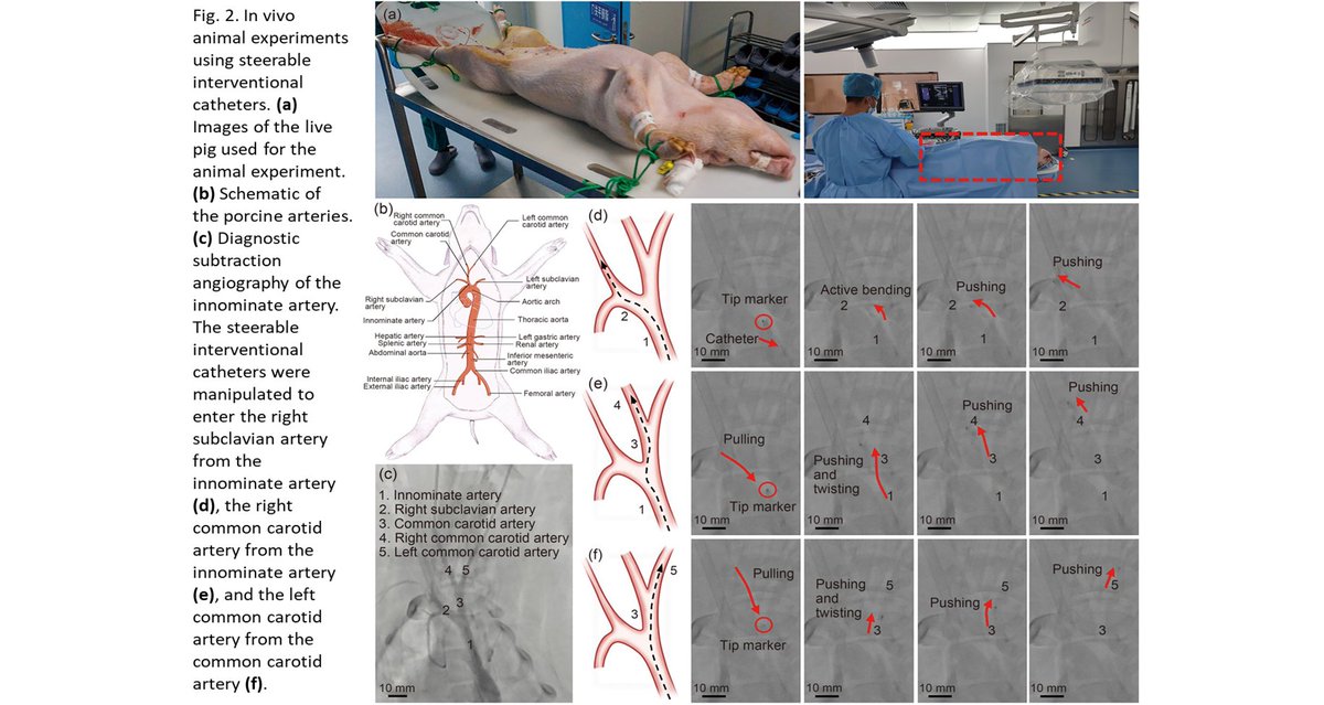 Bio-Design and Manufacturing tweet media