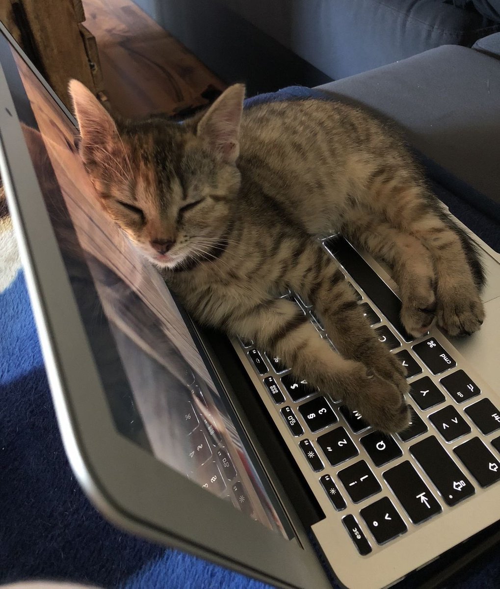 ٍ (@e_burw) on Twitter photo 