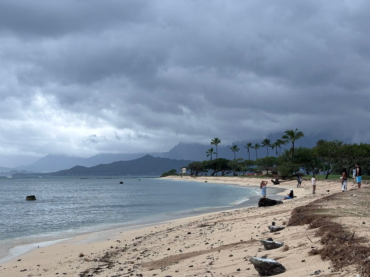 Prof Hevia 🇺🇦 tweet media