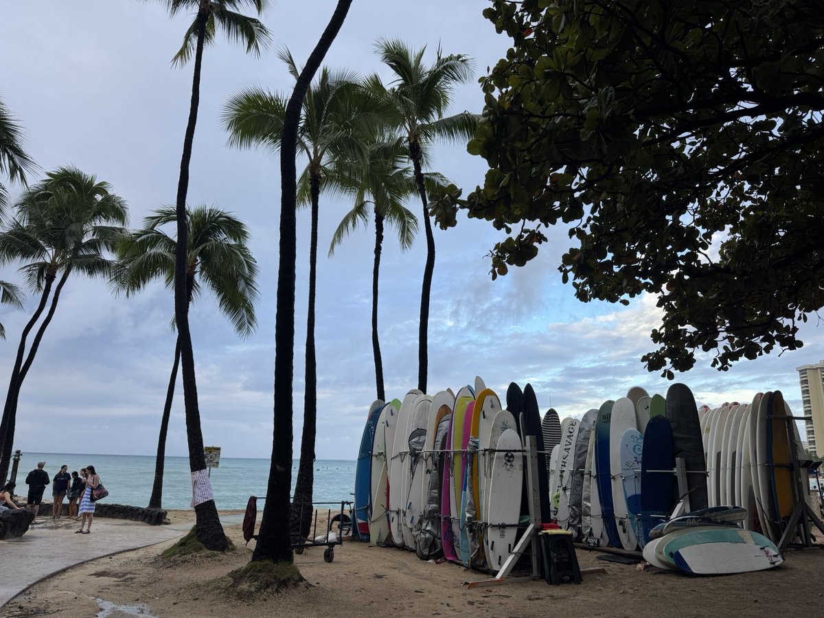 Prof Hevia 🇺🇦 tweet media