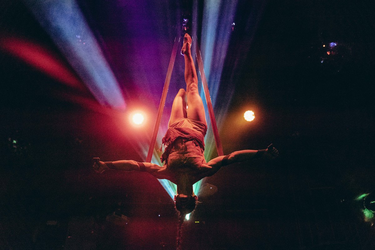 SUNDAY 🪾 Death As Teacher 🪾 SOLSTICE RITUAL - mailchi.mp/idgydean/yule