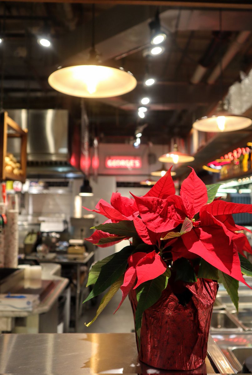 Strolling through the market, gathering all you'll need to prep for the holidays...it's the weekend before Christmas in the Terminal! Festive and fun and food! 🎄