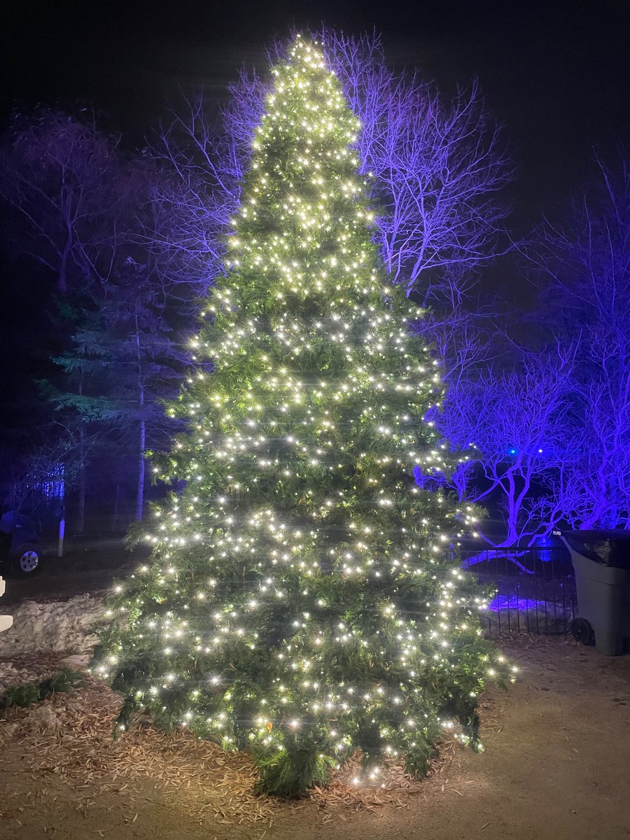 SamuelJohn110's tweet photo. I love Lightscape @ the Botanics. One of my favourite holiday traditions. https://t.co/ijiBLw8DoK