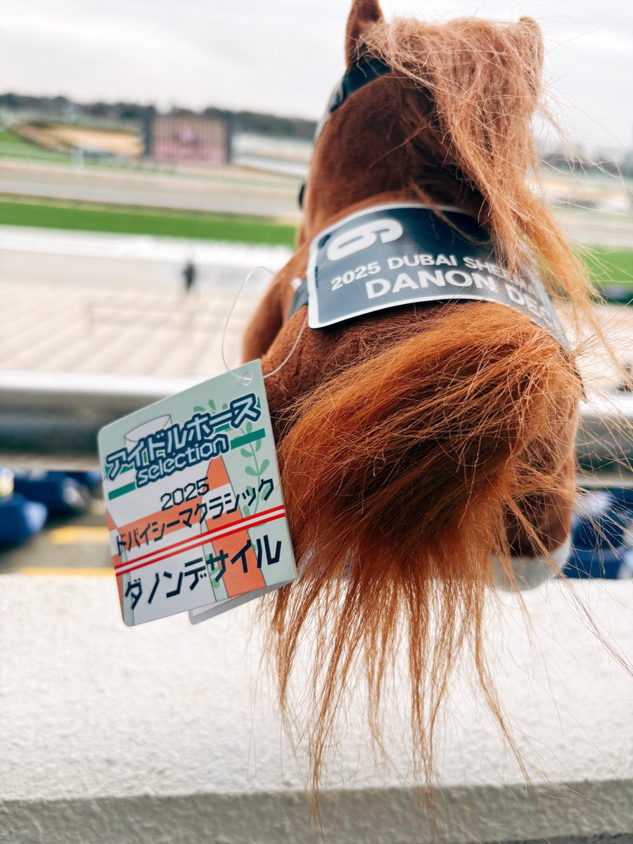 ダノンデサイル