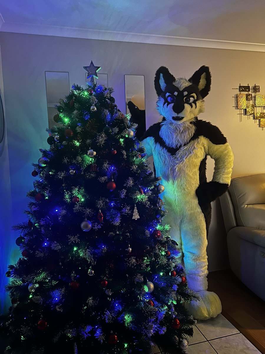 Jaron the Rock N Roll Shepsky 🇦🇺 tweet media