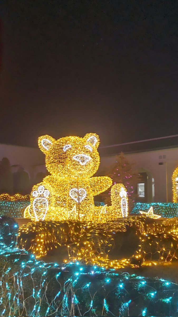 クリスマスと言わず、冬になると、イルミネーションが映えますね