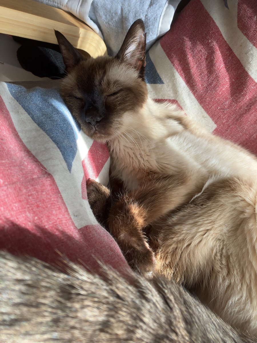 あいちゃん (@AIchan00000000) / Posts / X