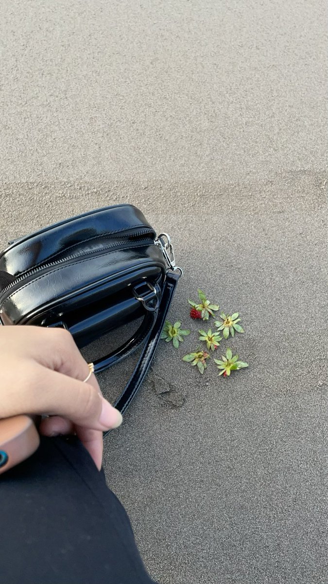 pagi baruu pulangg langsung ke pantaiii