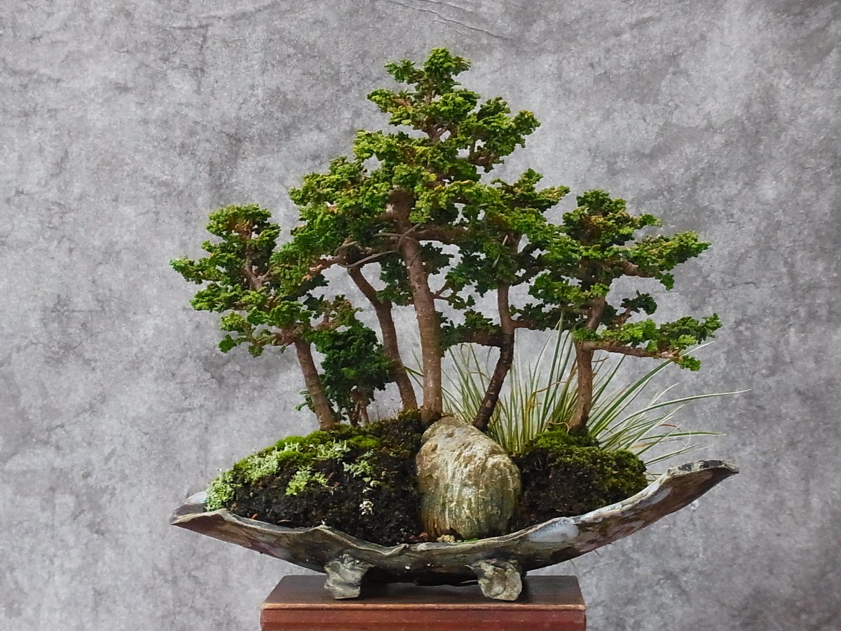 石化ヒノキ 2022→2025 処分しようと思ってた素材を思い直して作って