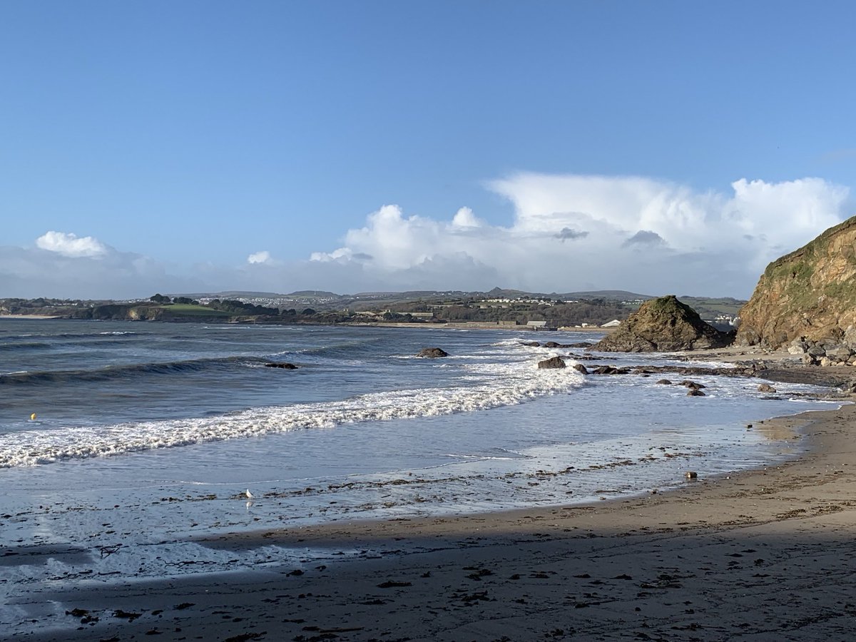 Pat 🐝 tweet media