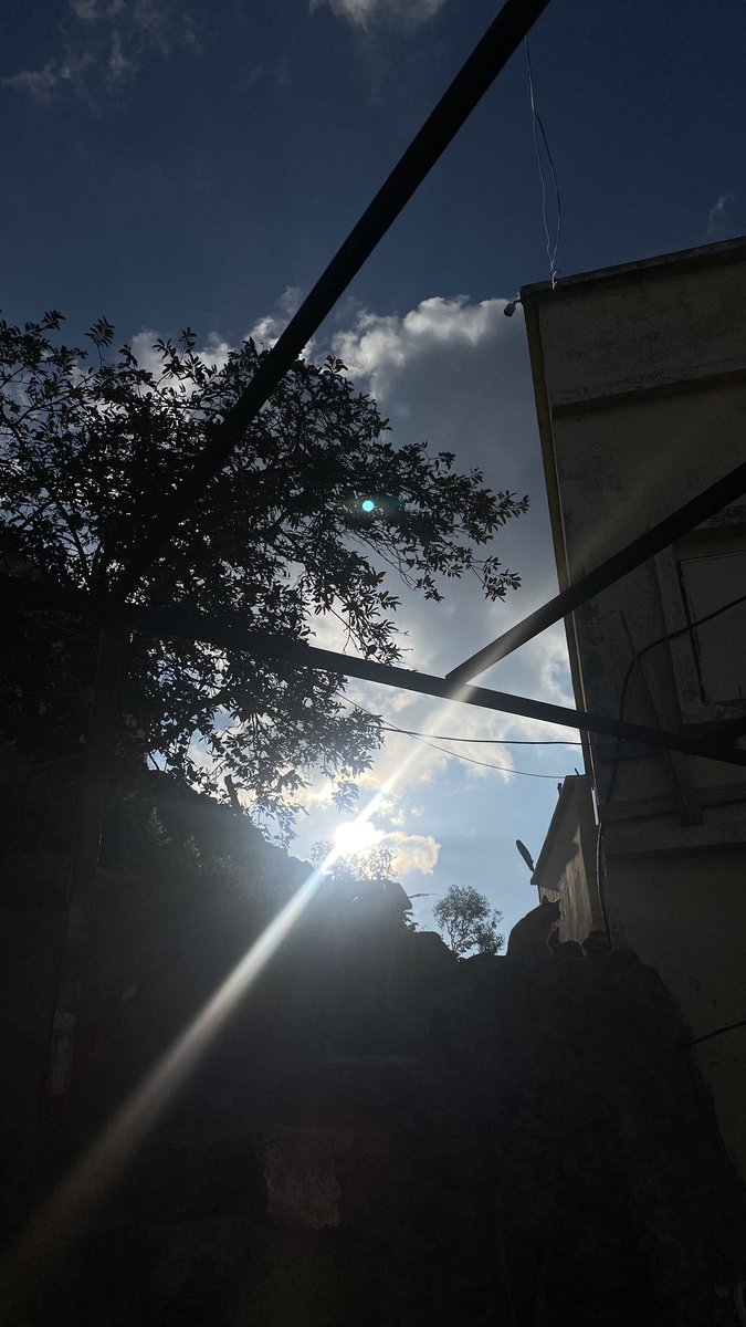 أوباس tweet media