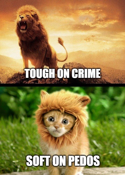 Mzansi Cook 🔥 tweet media