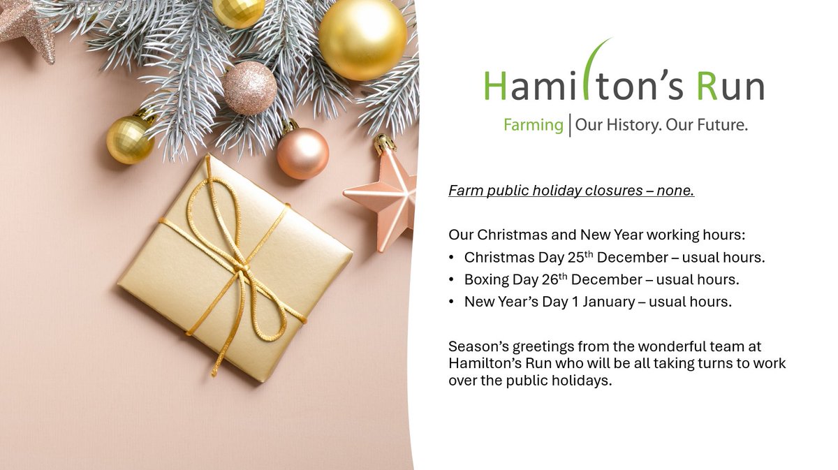 Hamiltons_Run's tweet photo. Merry Christmas from Hamilton's Run.  Our farm operates every single day of the year.
#essentialservices
#dairyfarming
#limestonecoast
#southaustralia https://t.co/mcvFvTigOV
