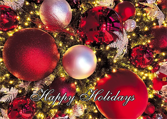 Gayvan.com tweet media