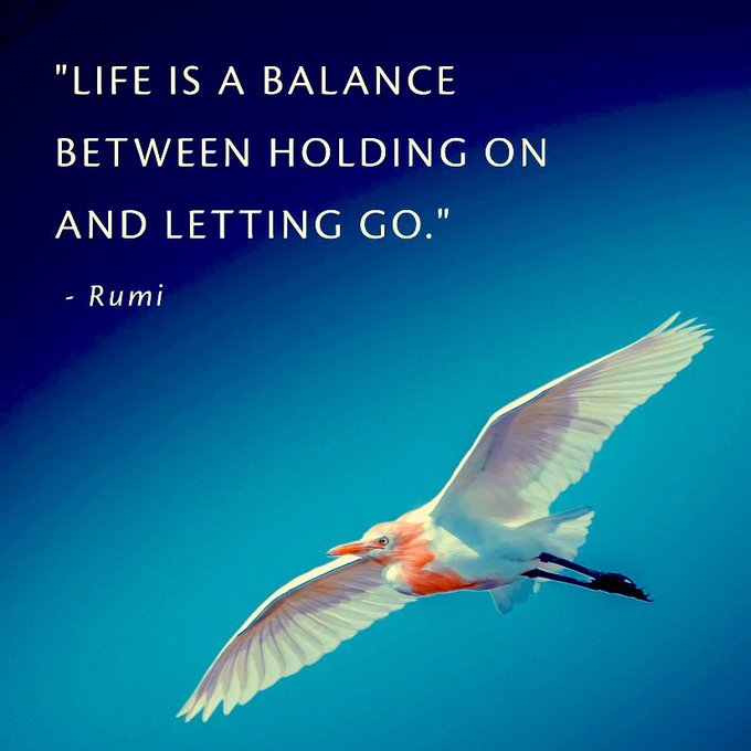 repost <a href="/gary_hensel/">Gary Hensel</a>

#JoyTRAIN