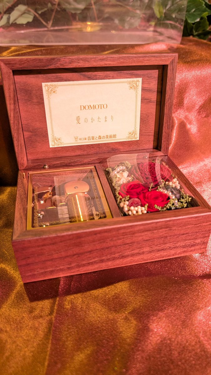 きゃなななな (@kananadesu) / Posts / X