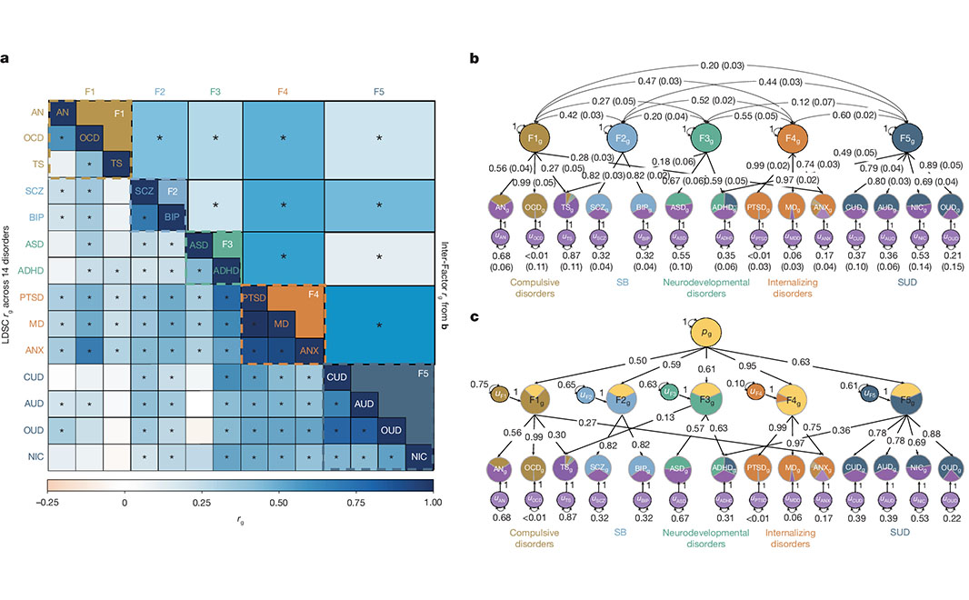 注目のハイライト】遺伝学：14の精神疾患に共通する遺伝的シグナル