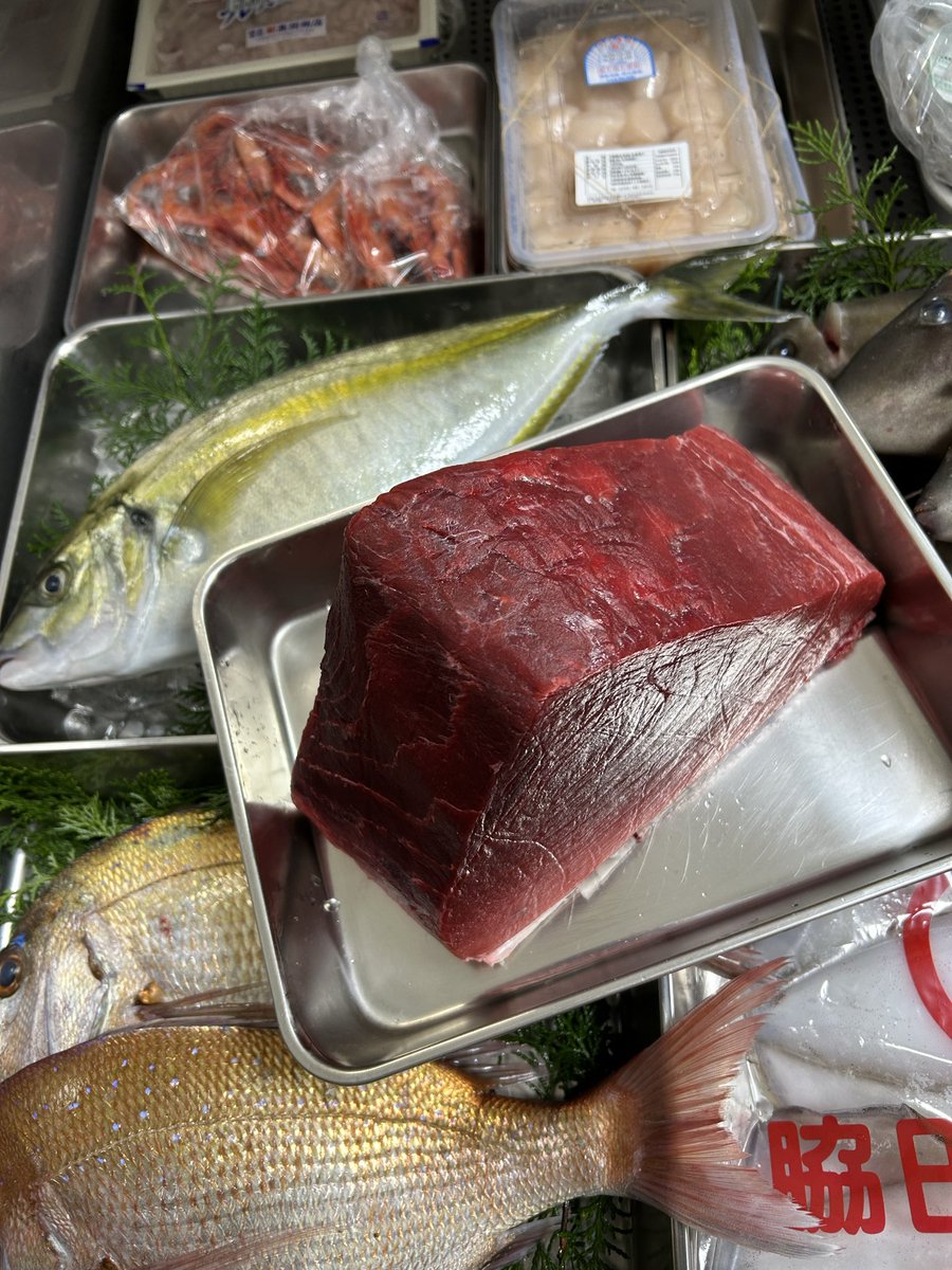 魚虎 うおとら (@uotora2024) / Posts / X