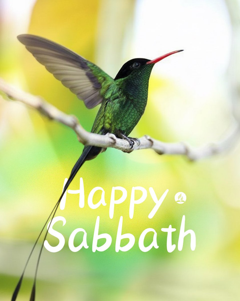 Florida Conference of Seventh-day Adventists tweet media