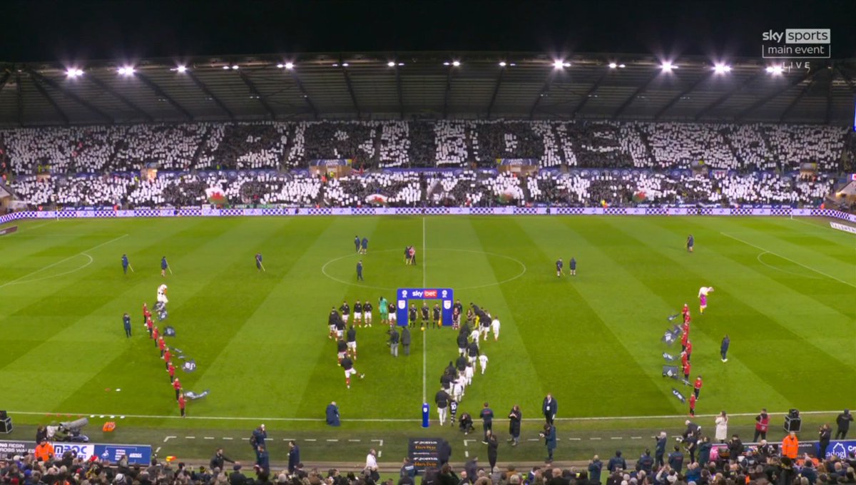 glad to say I was apart of this 🦢
#swans