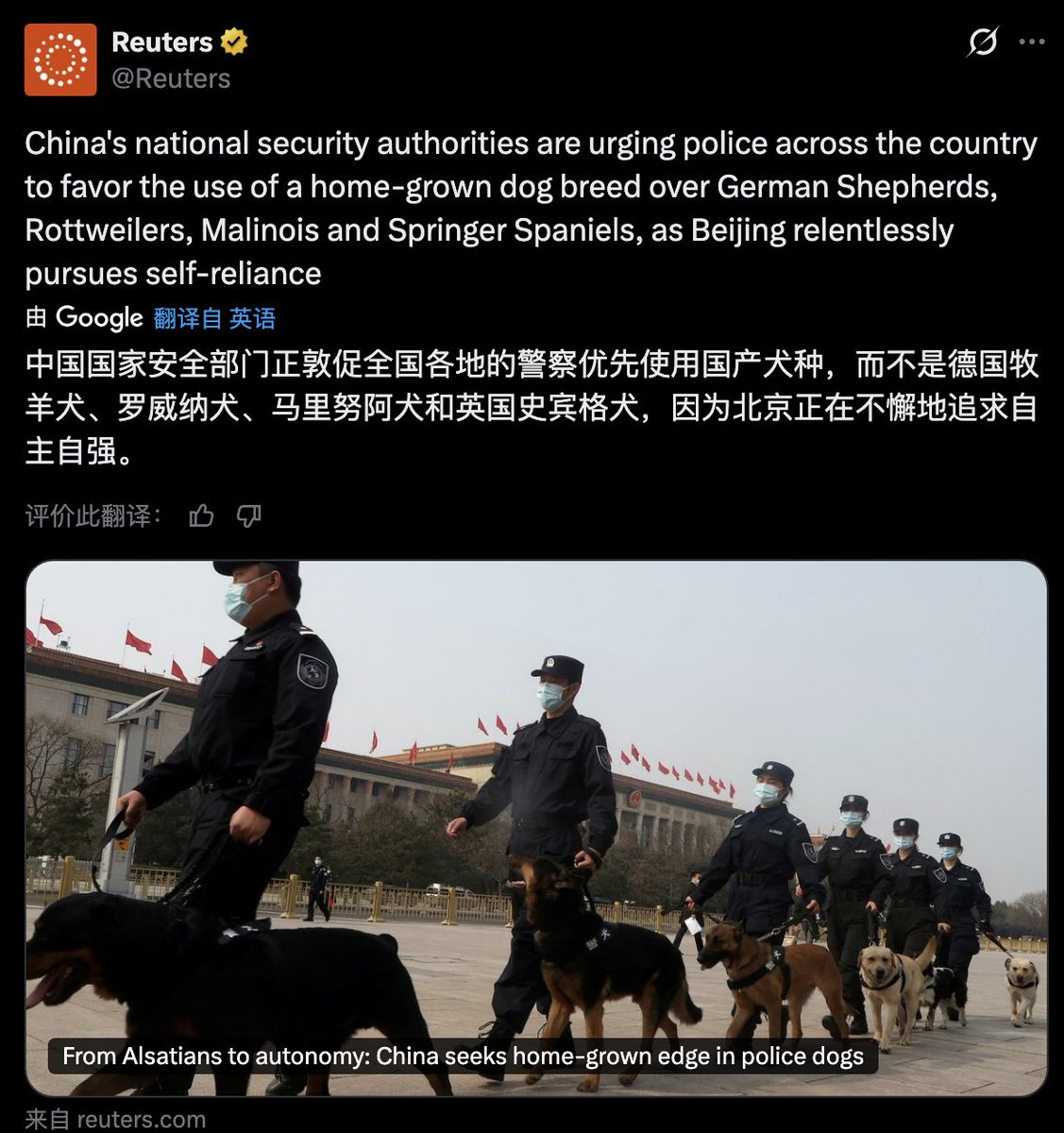 🔥墙内消息：连警犬都要“自主自强”了？🐶 路透社报道：#中国国安部门要求全国警方优先用#国产犬种，少用德国牧羊犬、罗威纳、马里努阿、史宾格等“洋狗”。  理由居然是：追求“自立自强”。OMG 当狗的品种都要忠于党了。。。。