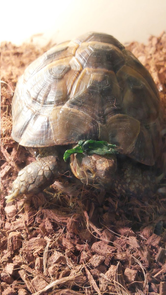 帽子かぶってるの
いいね 