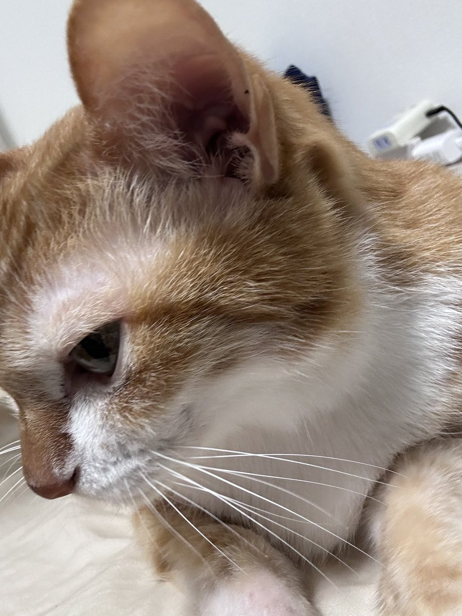 明日です！　ナッツライブ

12/21 Sun. 高円寺Fourth Floor II 
『師走の今豚』

2500yen+1drink  18:00open 18:30start

空には終点がセカンドシーズン
ナッツ（どばと）
F.Z.D.A
台風の目【椎名利恵子：ダンス×冨田秀康：ギター】
雨屁:鈴木放屁(ts)×相生雨水(g)

よろしくお願いします！