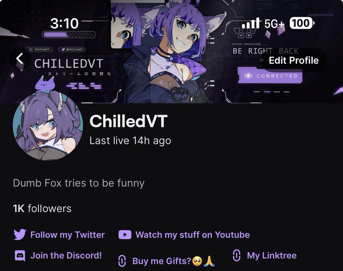 ChilledVT's tweet image. Thanks to EVERYONE who decided to support this dumb (amazing) fox! 😭😭

Means alot to me with how much I’ve grown this year to hitting one of my goals

It’s been a year of turbulence and trial but LETS GOOOOO 1K FOLLOWS (on Twitch)

Here’s to more future achievements 🎉🎉