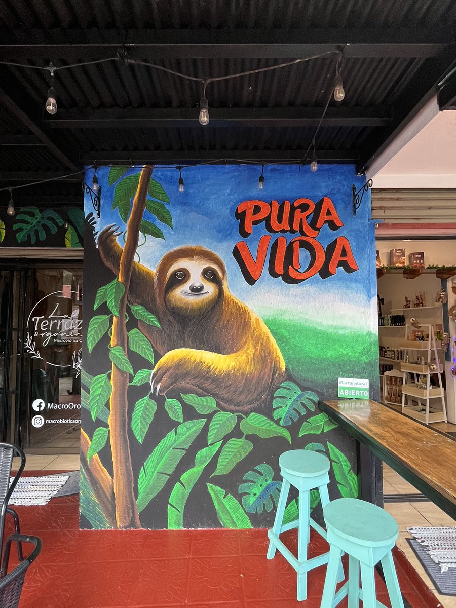 Firefly Shire 🌙✨ tweet media