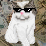 Photo by meow meow meow (@SubtweetCat)