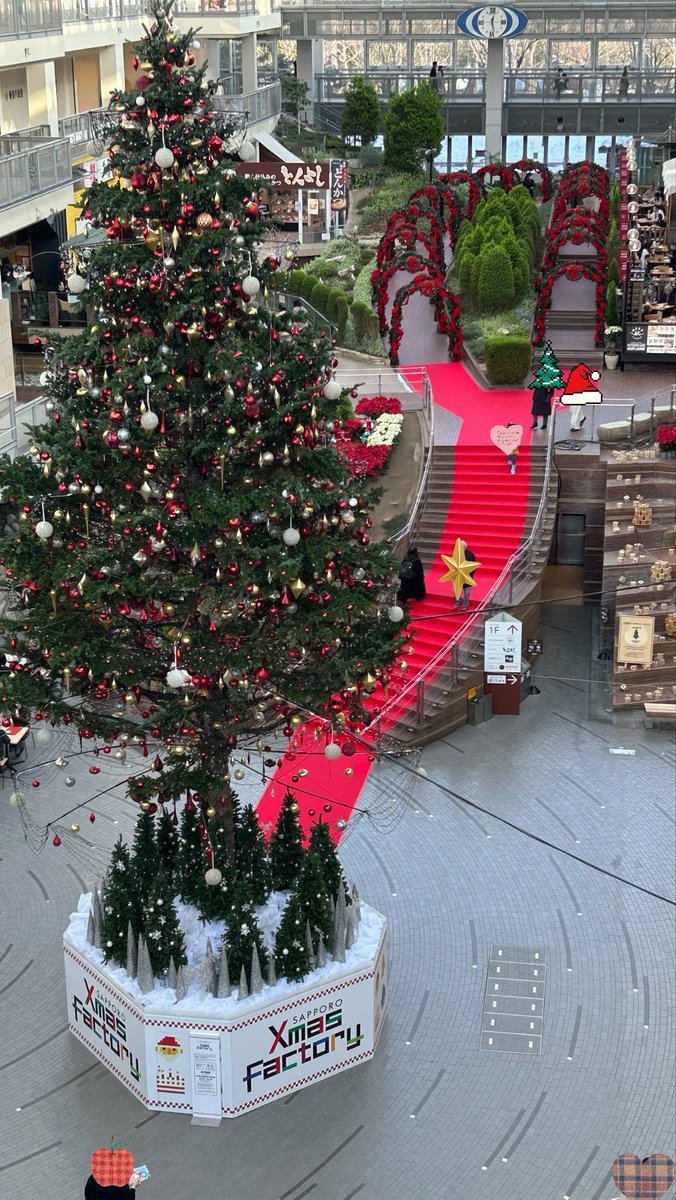 大通りのイルミネーションを見てきました✨
4枚目は札幌ファクトリーのツリー🎄
今年も素敵ですね❤️