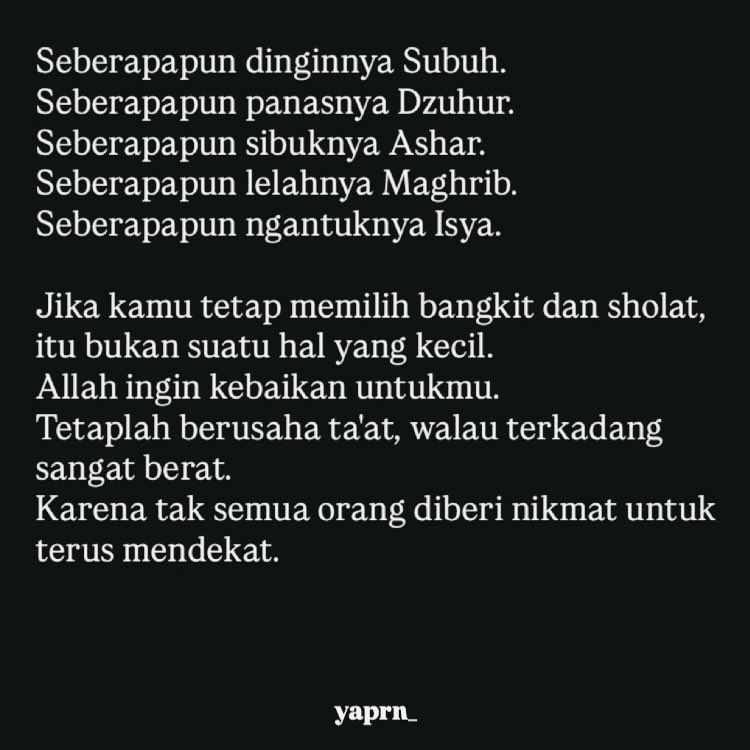 - (@_catflowers) on Twitter photo 