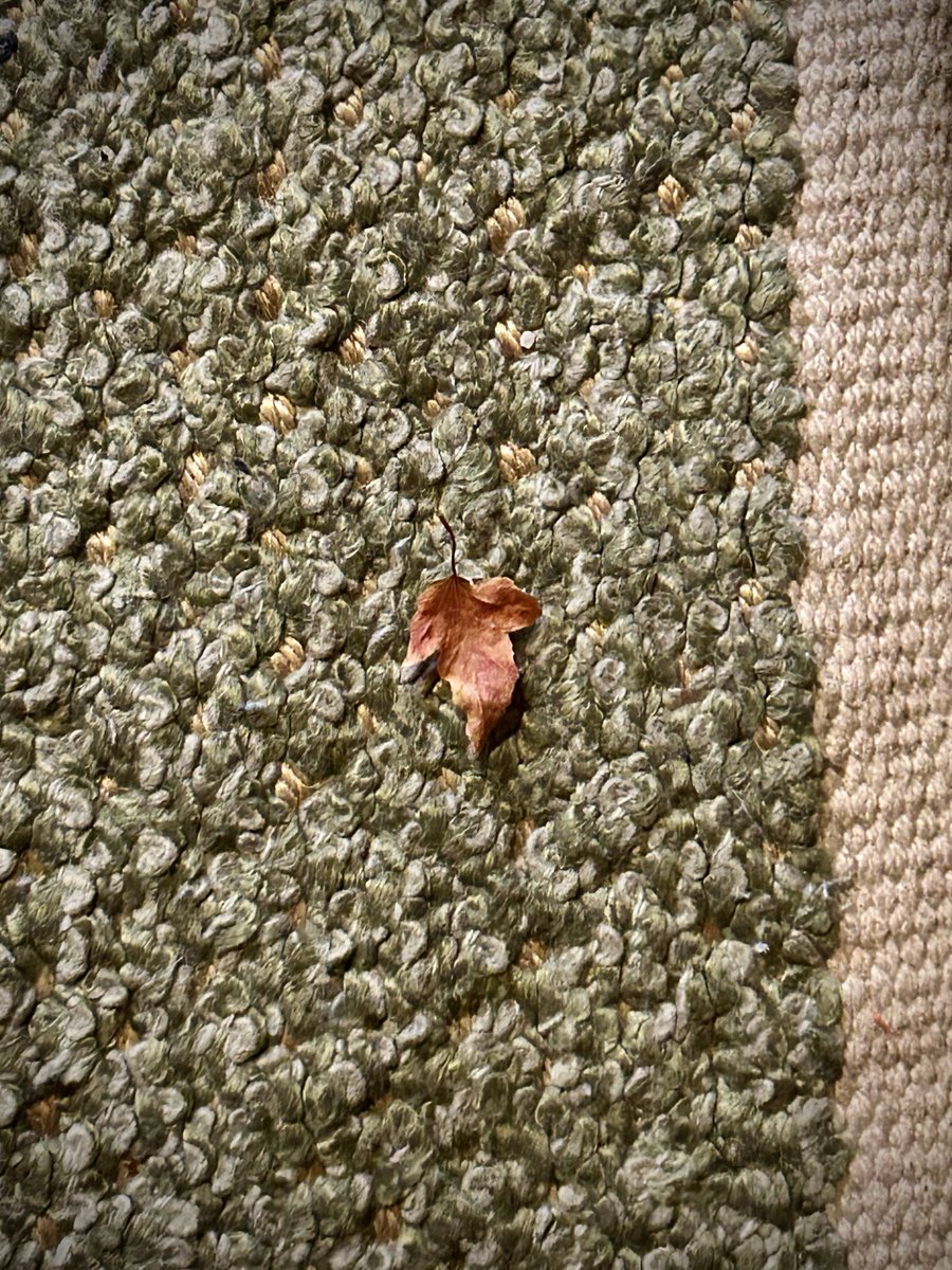 hal（Lv.54） (@hal_double) / Posts / X