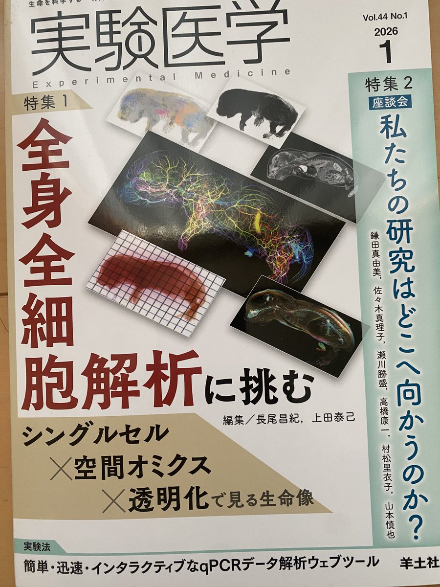 矢吹真菜 tweet media